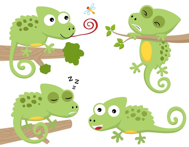 Vector cartoon set of funny chameleon