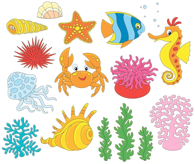 Vector cartoon set of funny tropical sea animals, corals and algae