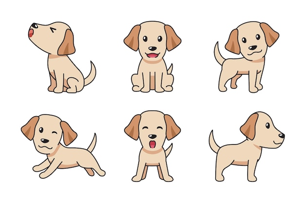 Vector cartoon set of labrador retriever dog