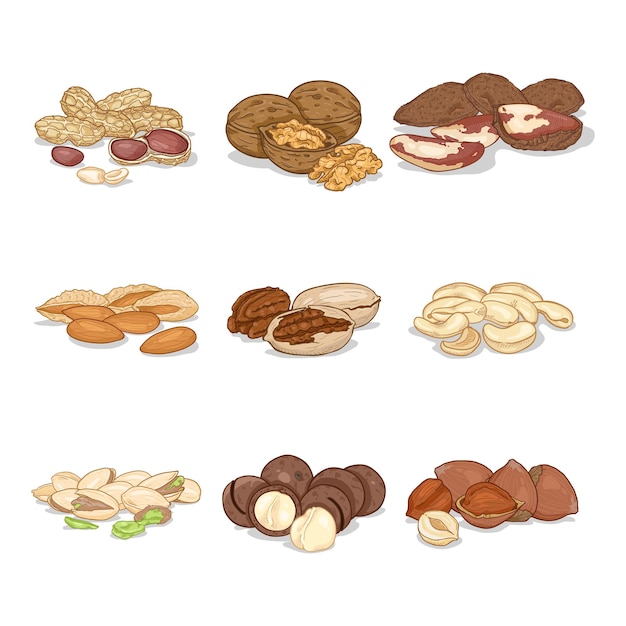 Vector cartoon set of nuts in piles healthy snack organic food