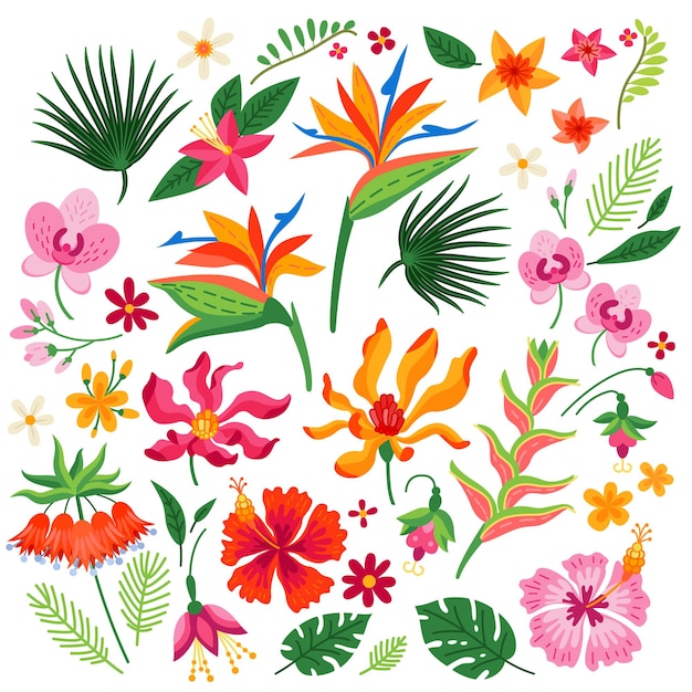 Vector cartoon set of tropical flowers isolated