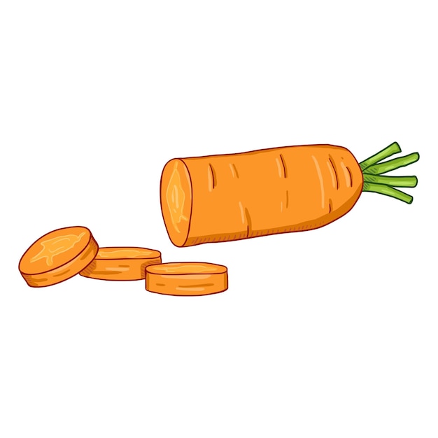 Vector cartoon sliced carrot