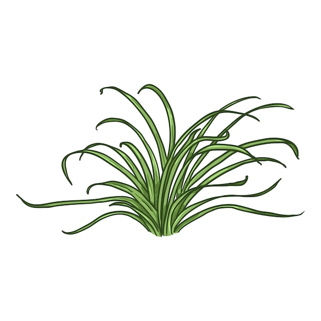 Vector vector cartoon wild growth green grass