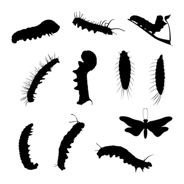 Vector vector caterpillar silhouetten ingesteld op witte achtergrond