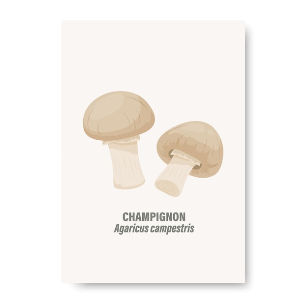 벡터 손으로 그린 만화 꿀 agaric 버섯 디자인 템플릿 클립 아트 agaricus campestris 버섯 세트와 흰색 카드에 고립 된 벡터 샴 피 뇽 버섯