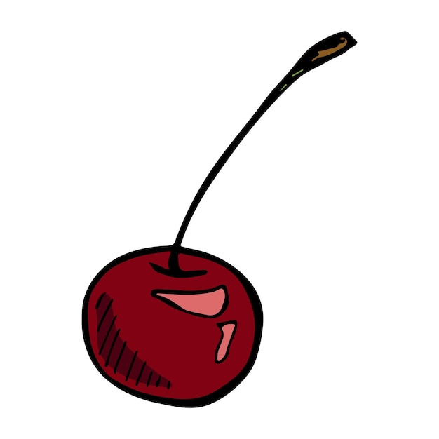 Vector cherry clipart Hand drawn berry icon Fruit illustration