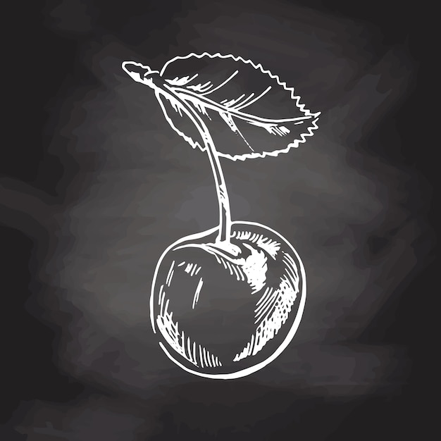 Vector cherry hand drawn white sketch on black chalkboard