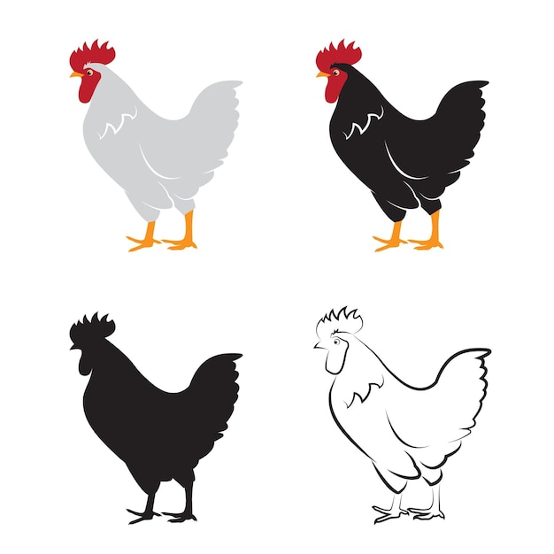 Vettore di disegno di pollo su sfondo bianco animali da allevamento di galline