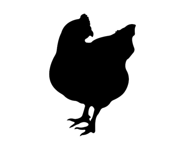 Vector chicken silhouette isolated on white background