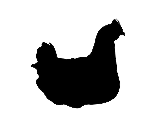 Vector vector chicken silhouette isolated on white background