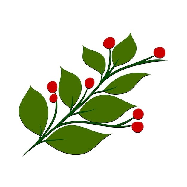 Vector of the christmas flowers