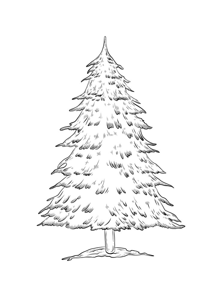 Vector vector christmas tree isolated on white background hand drawn illustration sketch christmas and new year design wild forest tree vector black and white graphics realistic style