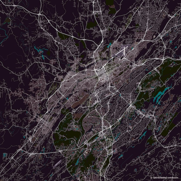 Vector vector city map of birmingham alabama usa