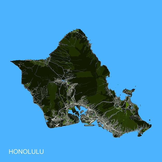 Vector city map honolulu hawaii usa