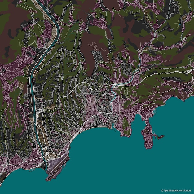 Vector city map of Nice France