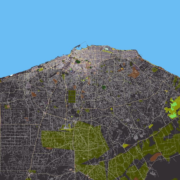 벡터 리비아 트리폴리의 터 도시 지도