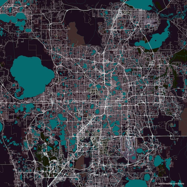 Vector city map of Orlando Florida USA