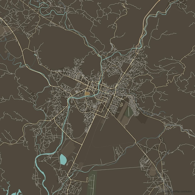 Vector city map of Podgorica Montenegro