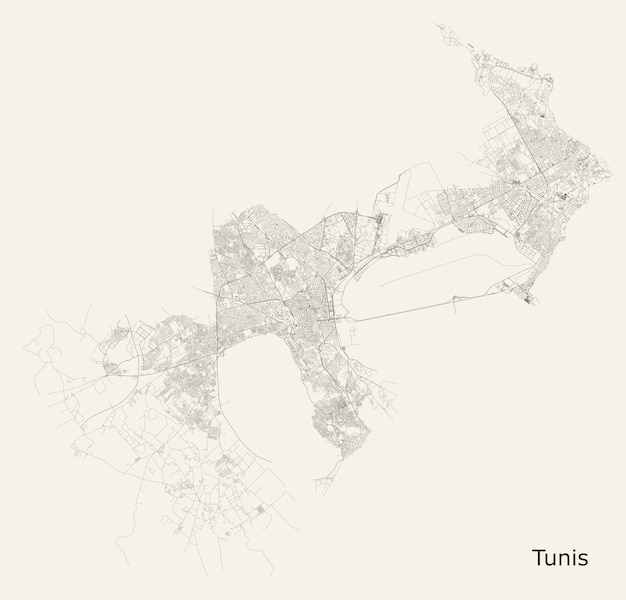 Vector city road map of Tunis Tunisia