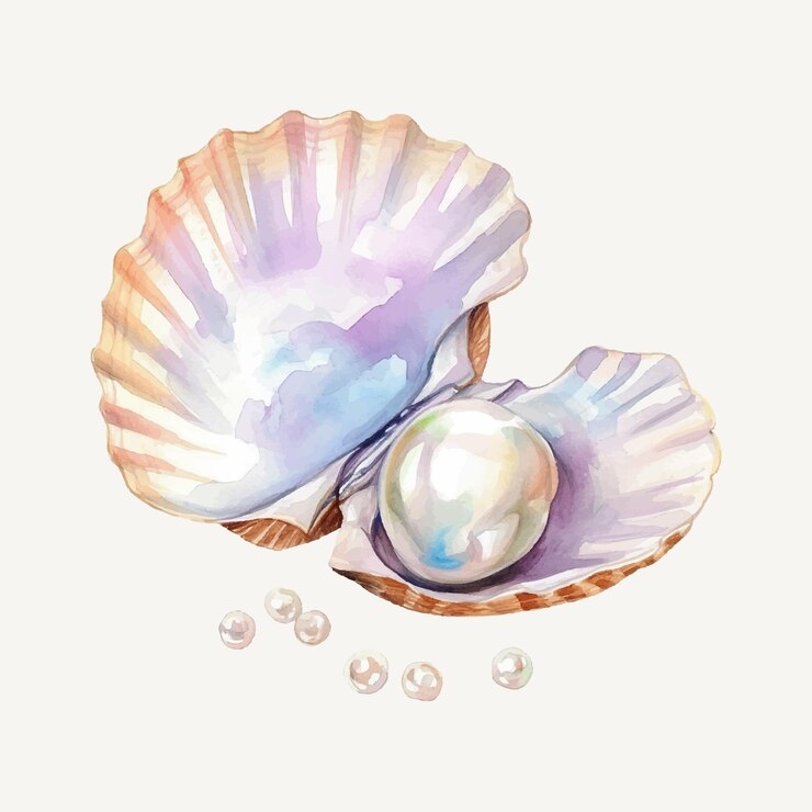 Vector vector clipart of the seashell with pearl inside stylized as watercolor open shell with pearl ball