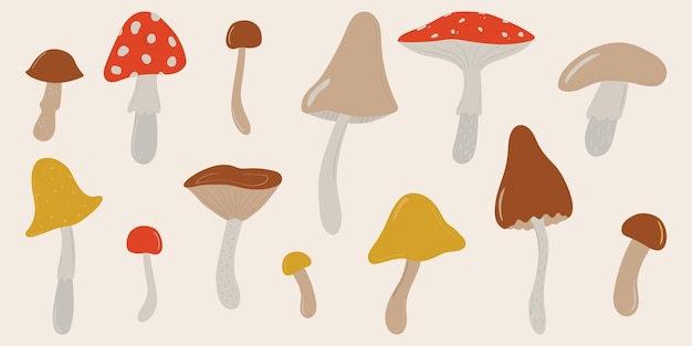 Vector clipart set of poisonous and edible mushrooms