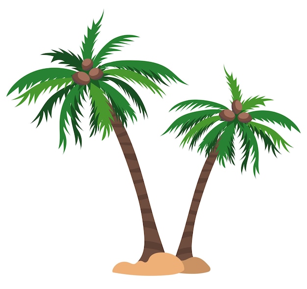 Vector clipart van twee kokospalmen op strand geïsoleerd op een witte achtergrond