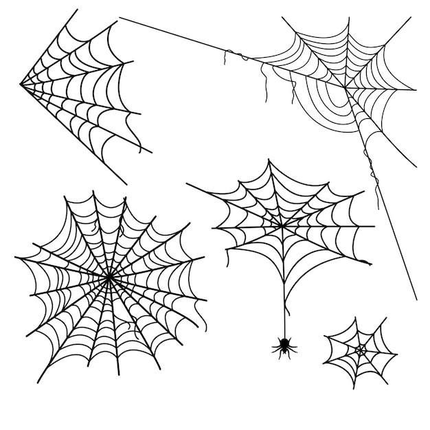 Vector cobweb decoration for halloween and horror stuff