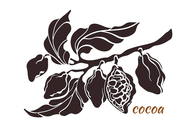 Vettore ramo di albero di cacao vettoriale con foglie e fagioli disegno botanico