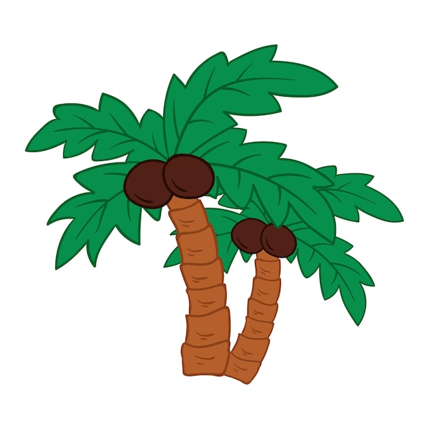 Vector coconut tree on white background