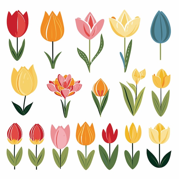 Vector vector collectie set van tulp bloem