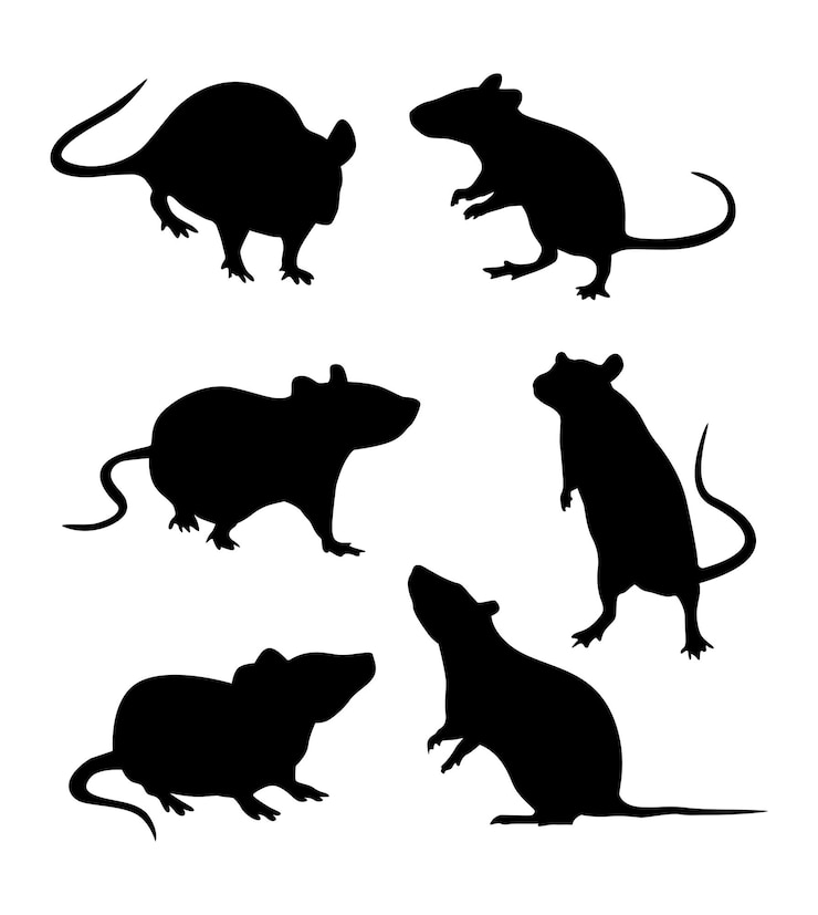 Vector vector collection animal silhouettes rat