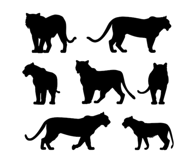 Vector vector collection of animal tiger silhouette