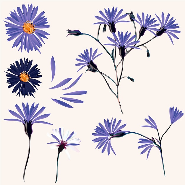 Vector vector collection of blue wild flowers for design