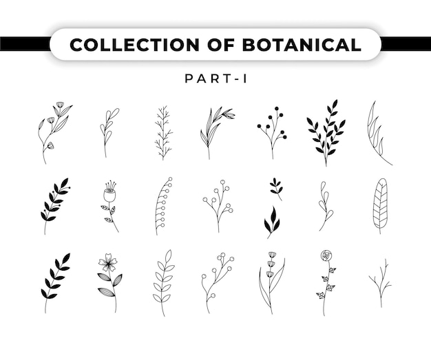 Vector collection of botanical illustration