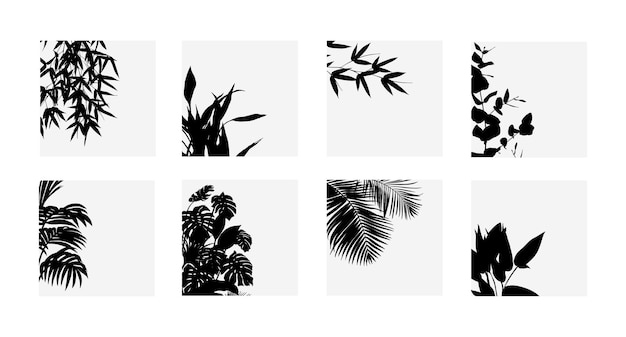 A vector collection of botanical leaves for artwork compositions