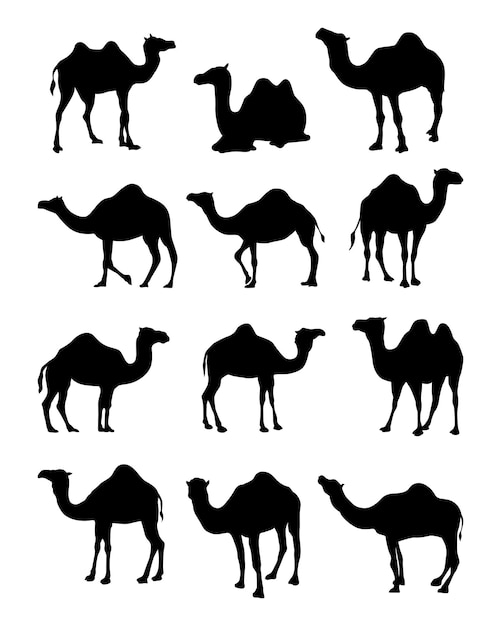 Vector collection of camels silhouette