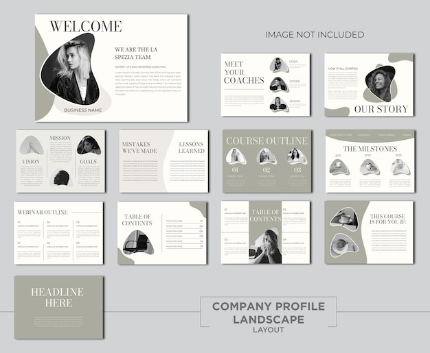 Vector collection of cards for business presentation