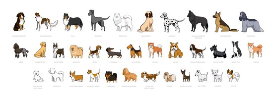 Vector collection of dogs of different breeds.