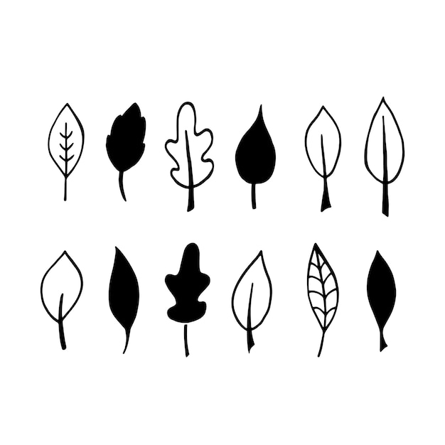 Vector collection of doodle flowers and leaves. To create digital paper, stickers, colorings. For design of surfaces, textiles, packaging, backgrounds. Subject nature