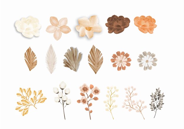 Vector vector collection of flowers and leaves