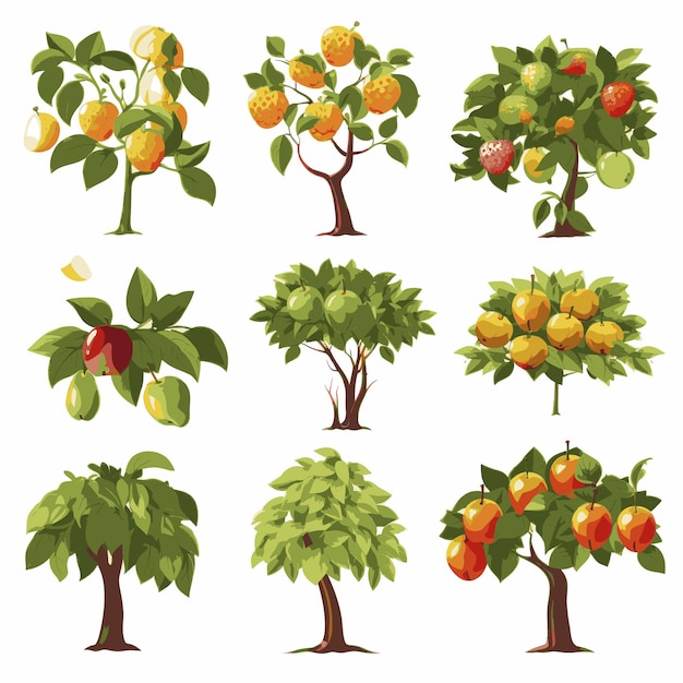 Vector collection of fruit tree