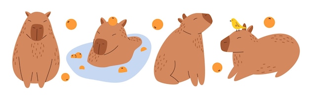 Vector vector collection of funny capybaras in flat design amusing set with capybara characters with oranges cute capybaras swimming in water and relaxing south american adorable animals