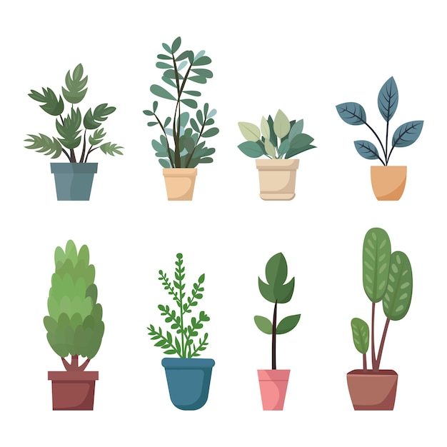 Vector collection of indoor house plants in pots Set of elements for design house room or office
