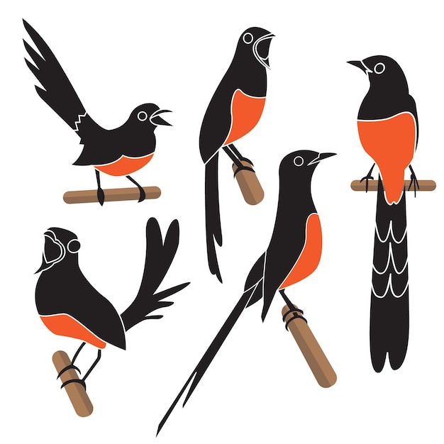 Vector vector collection of oriental magpie bird designs on a white background