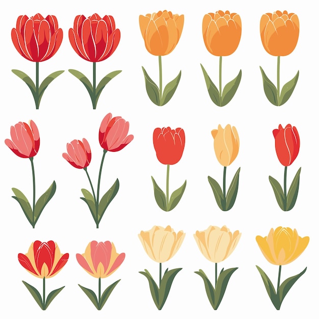 Vector vector collection set of tulip flower