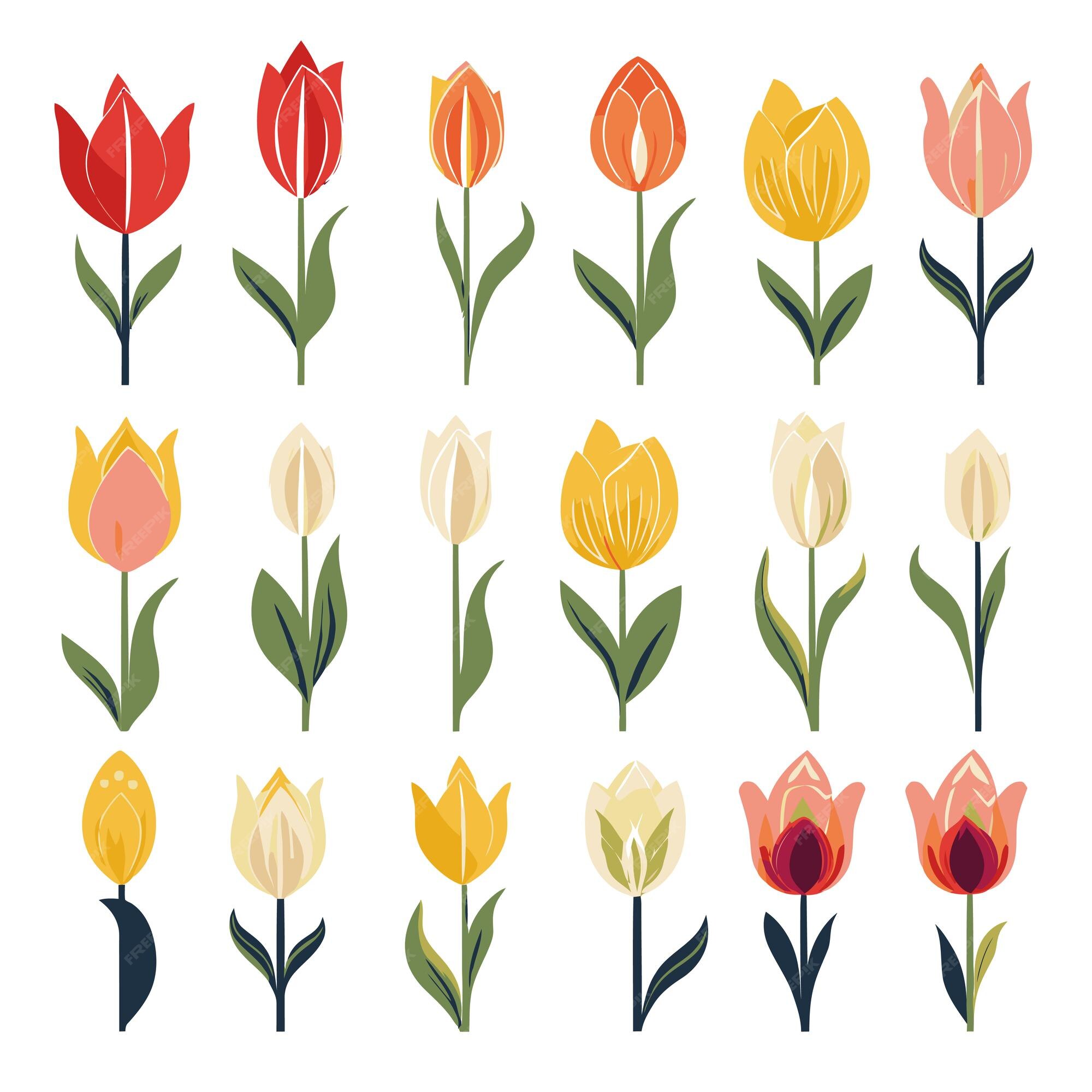 Premium Vector | Vector collection set of tulip flower