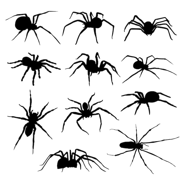 Vector collection silhouettes spiders of different species