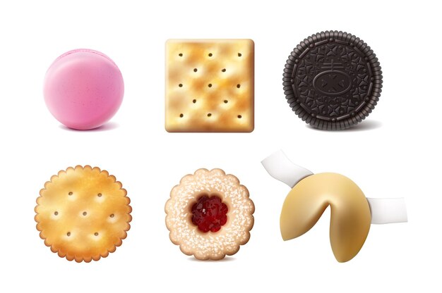 vector collection of types of cookes Crackers macaroons linzar cookie fortune cookie oreo Isolated on white background Front view