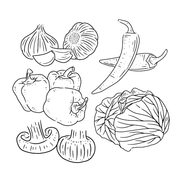 Freehand drawing vegetables. 586075 Vector Art at Vecteezy