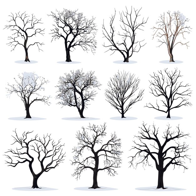 Vector collection of winter tree